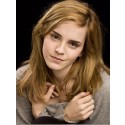 Perruque Tentante Lisse Lace Front Synthétique De Style Emma Watson