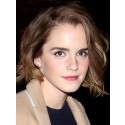 Perruque Concise Ondulée Lace Front Cheveux Naturels De Style Emma Watson