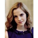 Perruque Désirable Ondulée Lace Front Cheveux Naturels De Style Emma Watson